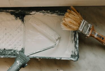 Painting Burrow
